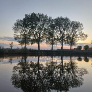 Bomen